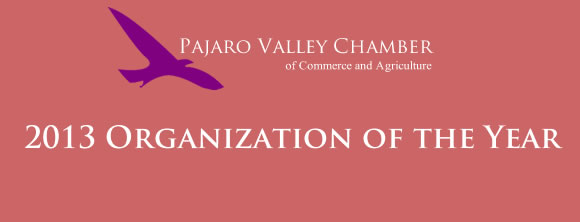 2013 Organization of the Year